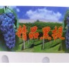 精品黑提葡萄