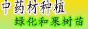 黃精、辣木、重樓等中藥材的種子培育