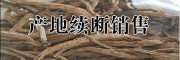 云南續(xù)斷種植基地信息