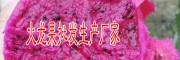 中國火龍果產(chǎn)地(附圖)