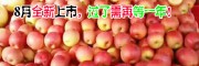 昭通蘋果特點(diǎn)是什么（附價(jià)格表）