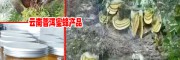 繆思位-促蜂農(nóng)增收-云南省蜂業(yè)技術(shù)學(xué)會常務(wù)理事單位