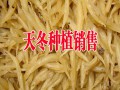 昆明天冬批發市場報價(種植戶)#2017天門冬銷售價格在多少