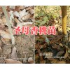 圣母香桃苗-昆明香桃苗批發(fā)價(jià)-昭通香桃苗基地