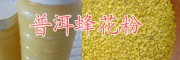 云南土蜂花粉、土蜂蜜產(chǎn)品銷售商-普洱蜂蜜