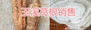 玉溪生態(tài)野葛根、葛根干片銷(xiāo)售，干葛根批發(fā)