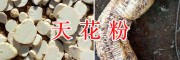 優(yōu)質(zhì)天花粉生產(chǎn)商-天花粉供應(yīng)商-求購(gòu)天花粉