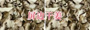 屏邊干姜片價格_云南干姜片供應(yīng)&干姜代收