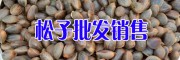 貴州威寧松子價(jià)格&貴州核桃仁哪有賣#畢節(jié)核桃米