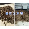 麗江云木香現貨出售/云南云木香價格-400-6633-626