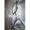 青波魚苗銷售-青魚苗批發—四川眉山水產魚苗