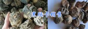 大理黑瑪卡-白術(shù)成品*茯苓各規(guī)格統(tǒng)貨批發(fā)_云南中藥材供應(yīng)