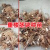 重樓育苗移栽技術(shù)方法與事項(xiàng)？