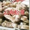 姬松茸有什么功效作用?麗江農特產信息網