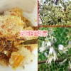 云南臨滄市土蜂蜜多少錢?_2018土蜂蜜價格網(wǎng)