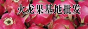 紅火龍果種植合作社產品報價表