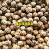 青皮核桃20mm去皮的干核桃6.25/斤