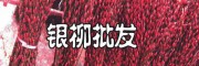 四川銀芽柳基地 |廣東銀柳批發阿里巴巴銀柳批發銀柳鮮花批發