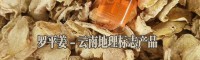 羅平縣姜業(yè)購(gòu)銷(xiāo)專業(yè)合作社產(chǎn)品圖片信息