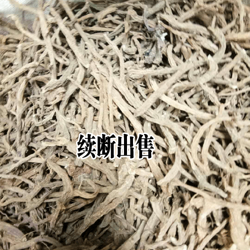 續斷的兩種種植方式?(直播和育苗)