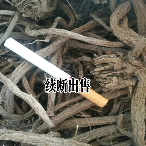 續斷的種植_續斷的病蟲防治案例