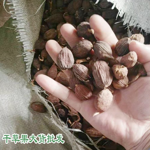 越南、紅河和文山草果產區量有多少?