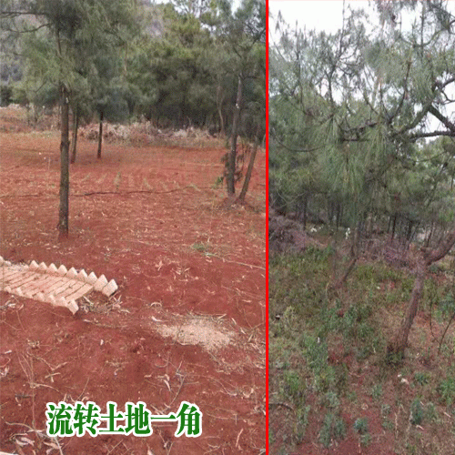 昆明新土地價格_2019昆明土地價格表