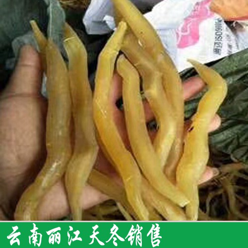 天門冬合理上肥(附技術(shù)資料)