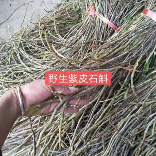 種植戶對(duì)鐵皮石斛的技術(shù)&鐵皮石斛怎么種植