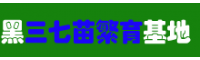 黑三七怎么種植_云南黑三七種植苗供應(yīng)商