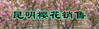 櫻花的市場(chǎng)價(jià)格2019年較新消息櫻花的市場(chǎng)價(jià)格