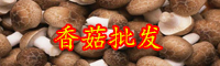 香菇栽培技術(shù)要點有哪些？成本和效益高嗎？