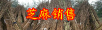 八谷之冠“芝麻開花節(jié)節(jié)高”是什么意思？