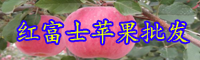 云南紅富士蘋(píng)果樹(shù)苗價(jià)格多少錢(qián)一株？