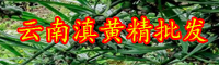 黃精價錢多少錢一斤？種植前景和經濟效益如何？