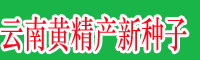 湖北\云南黃精產新種子&黃精統貨價格