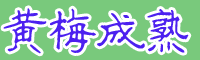 黃梅是啥時節成熟上市？附黃梅的種植方法和時間