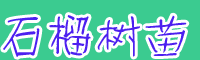 2020年軟子(無子)大概多少錢一棵？一般什么時候移栽好？