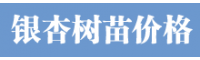 銀杏樹苗價格多少錢?銀杏樹苗的價格行情_銀杏樹苗批發