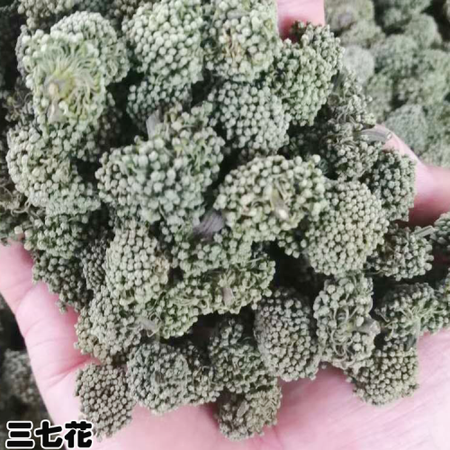 三七干片批發_三七花銷售基地