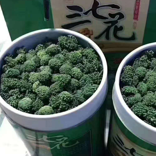 三七花|河北保定批發銷售價格