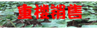 目前市場上重樓價格賣到多少錢一斤_優質重樓批發種植銷售基地