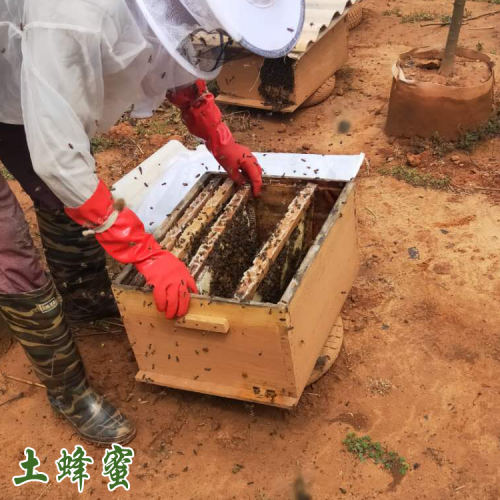 云南蜂蜜銷售價格@蜂蜜食用方法@