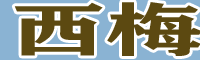 西梅、加州西梅、歐洲李苗圃圖片性（附行情價格）