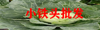 小鐵頭價(jià)格查詢(xún)網(wǎng)_小鐵頭種植管理技術(shù)