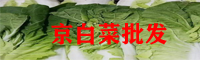 京白菜直銷點(diǎn)_京白菜行情走勢(shì)