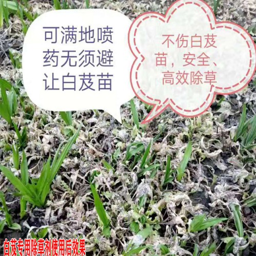 銷售中藥材專用除草劑,選購