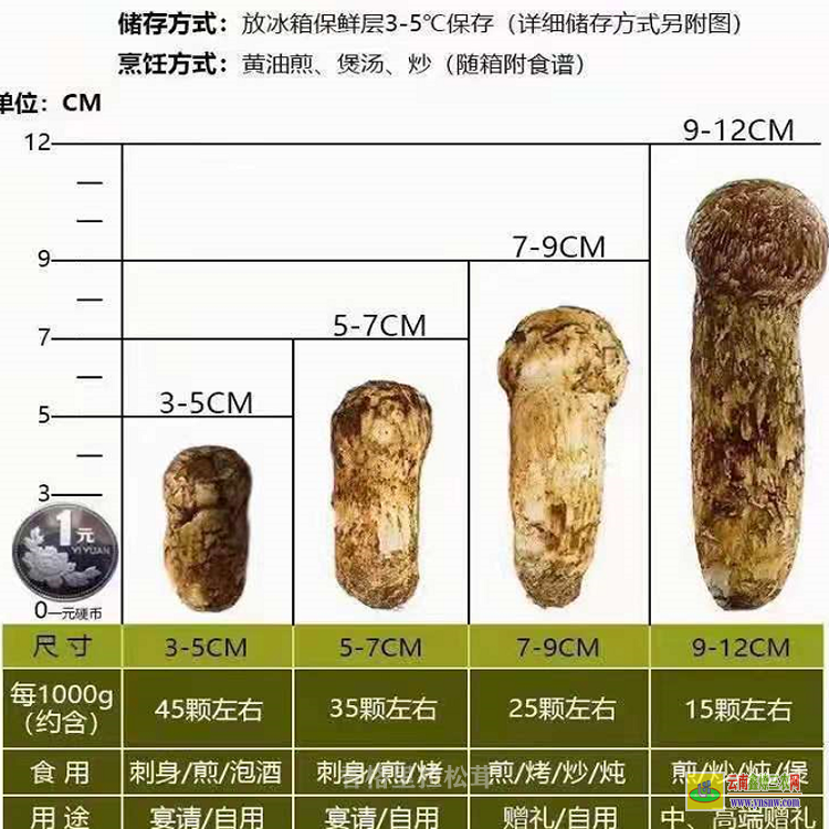 云南云南松茸只發(fā)順豐 香格里拉松茸價格 12公分以上松茸市場價格