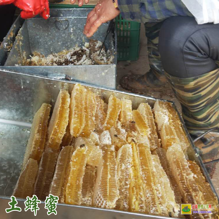 西雙版納純蜂蜜價格表和圖片 土蜂蜜價格多少錢一斤 500克土蜂蜜價格