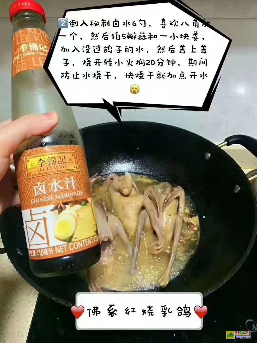 鄒城肉鴿價格行情今日報價 肉鴿行情肉鴿價格行情 種鴿價格是多少錢一只